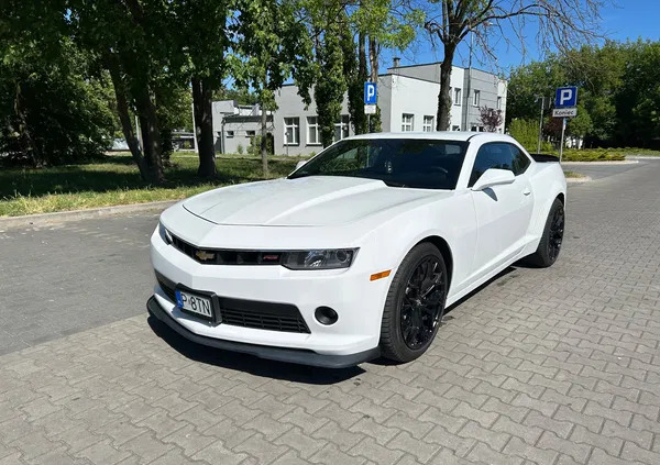 chevrolet wielkopolskie Chevrolet Camaro cena 74500 przebieg: 172800, rok produkcji 2014 z Wolsztyn